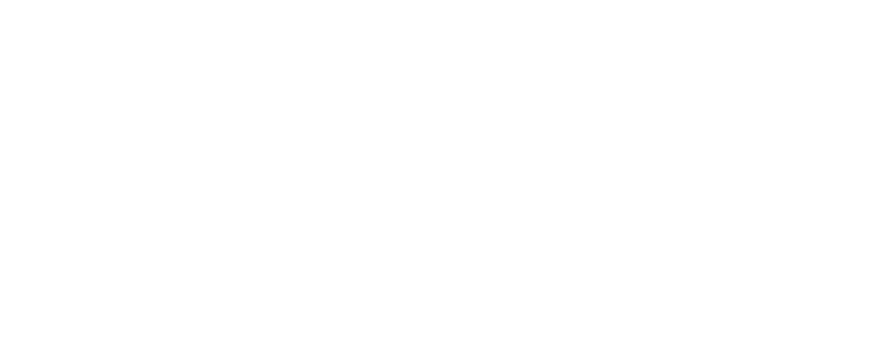sdn-pros-logo@2x